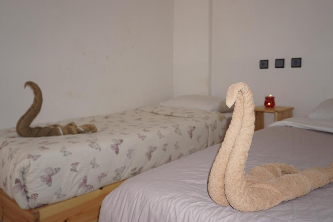 טגזוט Hostel The Endless House Anchor Point מראה חיצוני תמונה